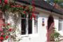 Valley Cottage, Ironbridge: Sleeps 4, Grade 4*