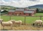 Tanglewood Farm Cottages, Shropshire Borders & Welsh Marches: 2 cottages Sleeping 4 & 6