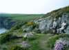Resting along the coast path